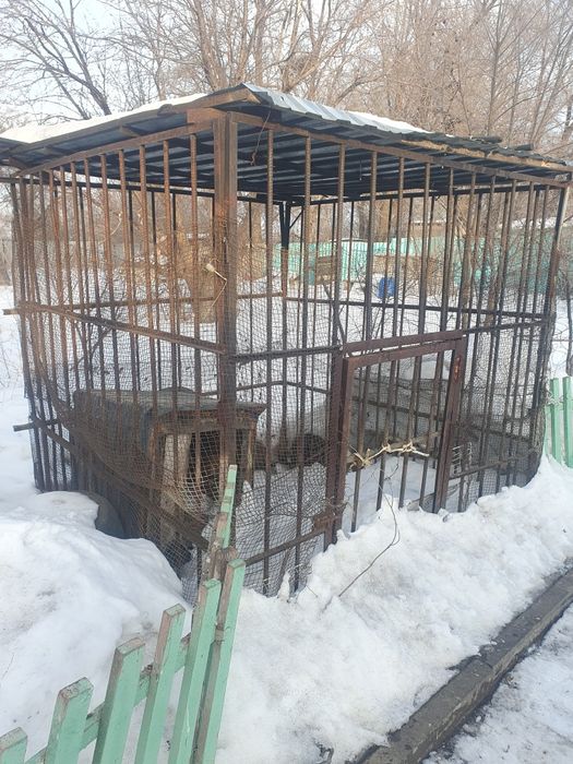 Продам вольер для собаки