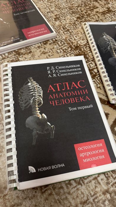 Атлас анатомии человека Синельников