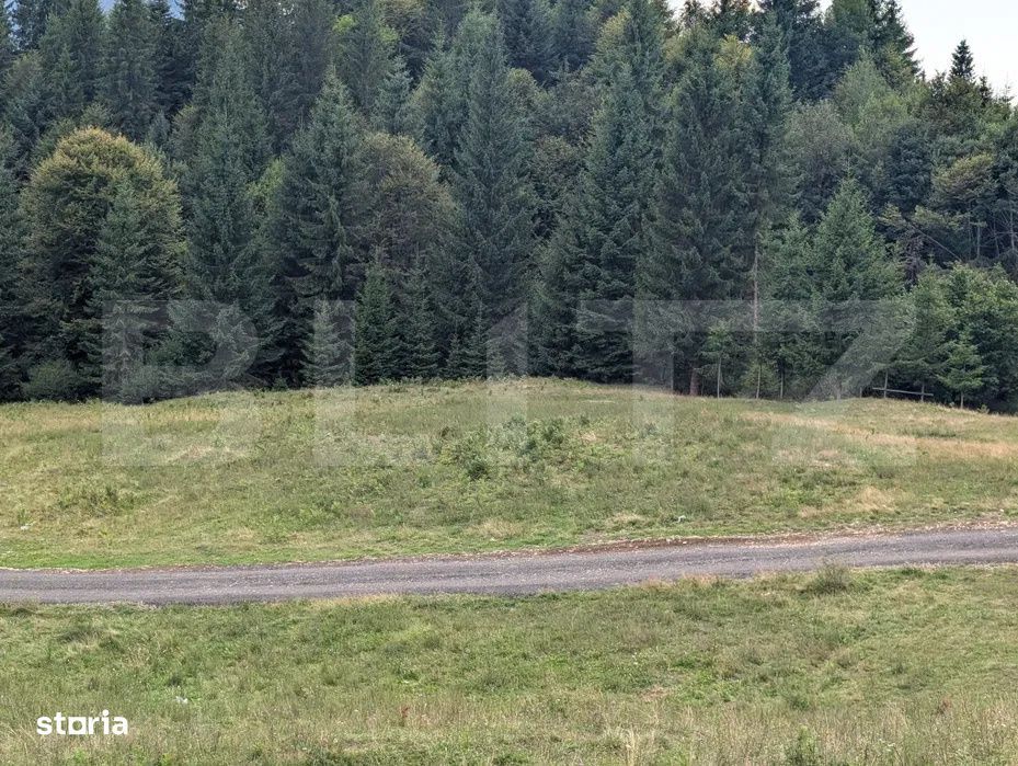Teren intravilan de vanzare in Colibita – oportunitate de investitie
