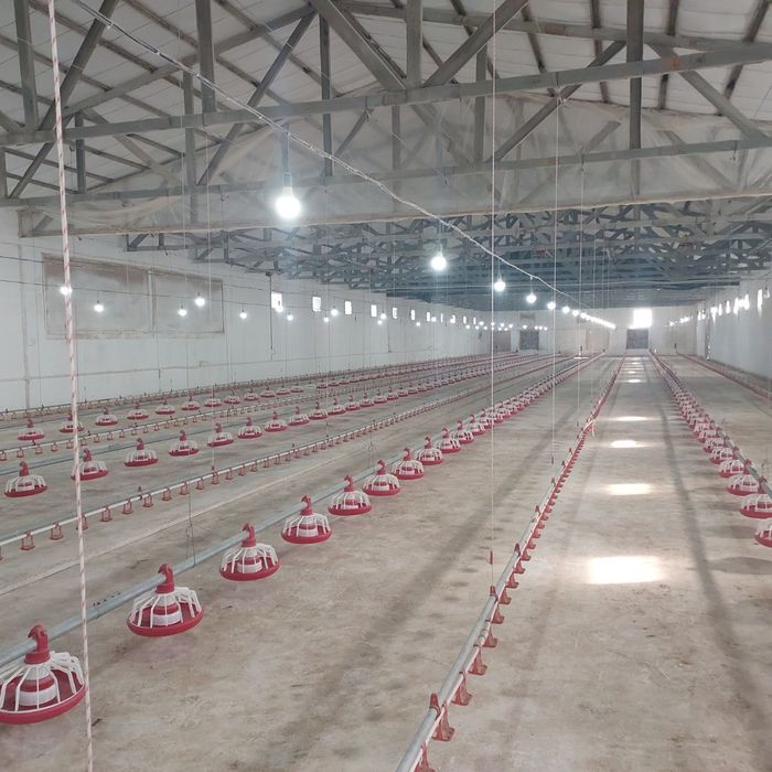 Готовый бизнес с землёй 1 га