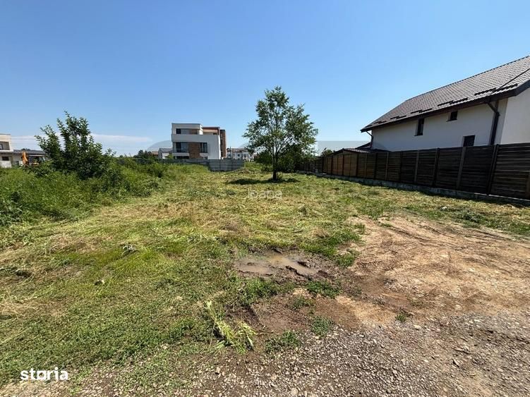 Mogosoaia teren intravilan - zona Livezi