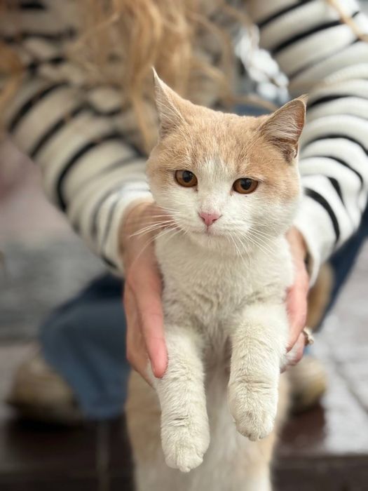 Девочка ждет свою семью!