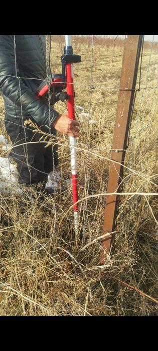 Сад яблоневый Иссык