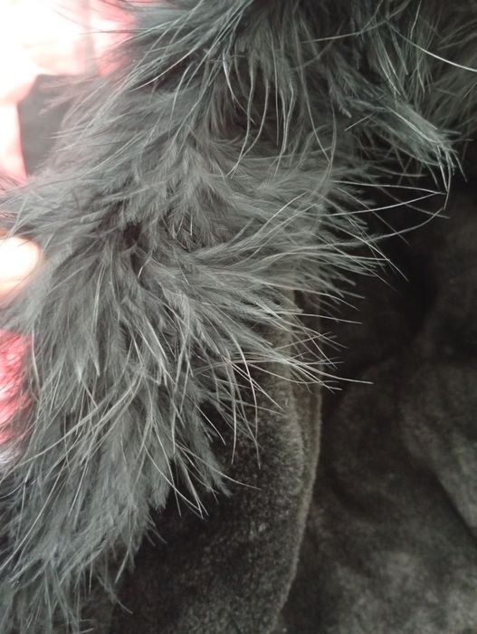 Продавам дамски якета