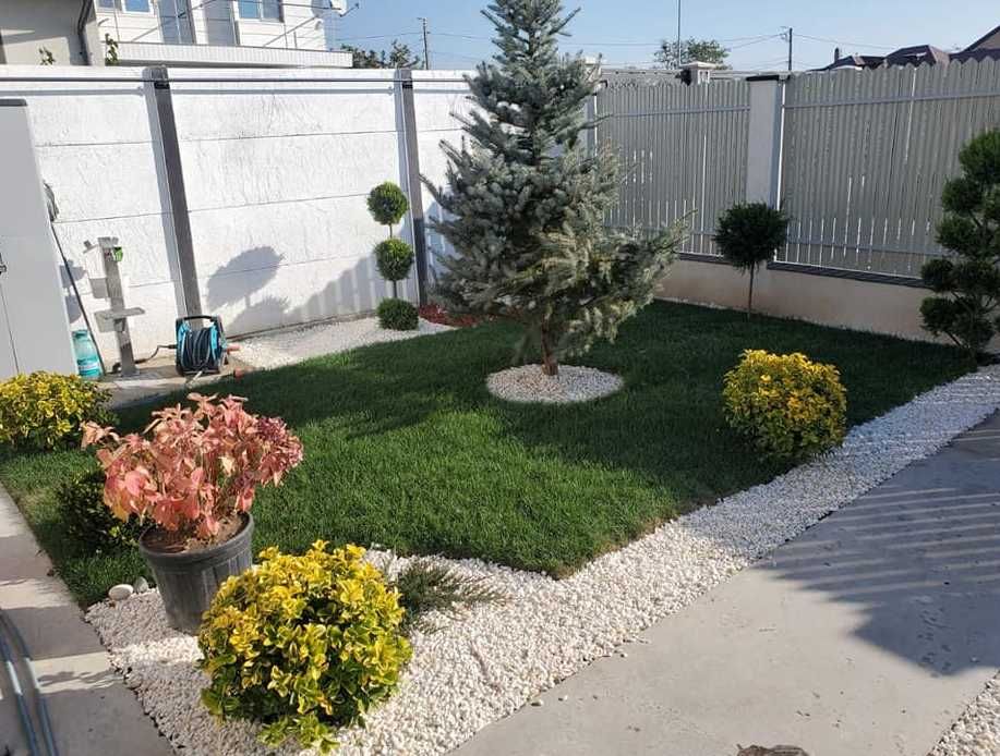Gazon Natural pentru Spații Verzi Perfect Întreținute