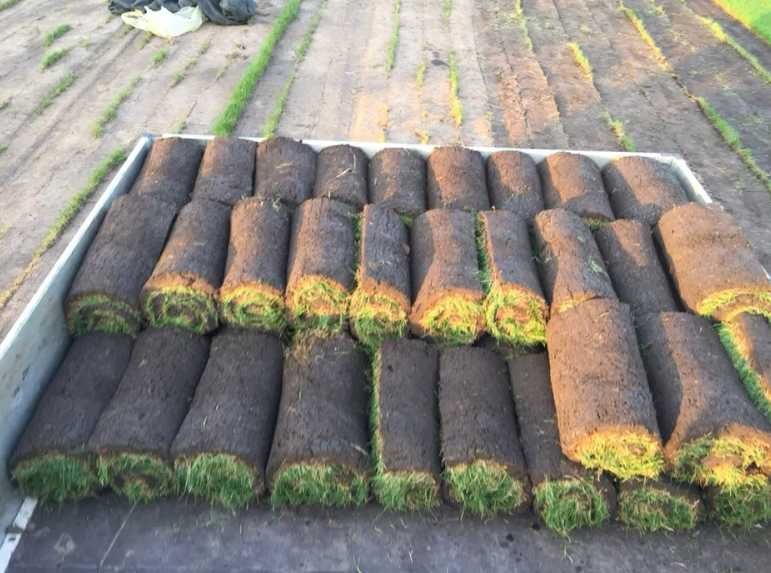 Soluții Verzi pentru Grădină – Gazon de Calitate și Montaj pe Loc