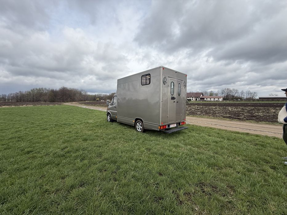 Vand autoutilitara transport cai stare impecabila