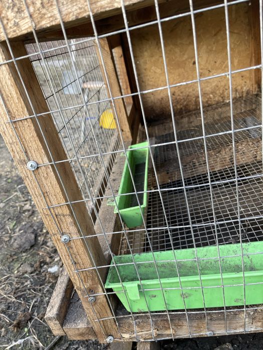продам клетку для перепелов