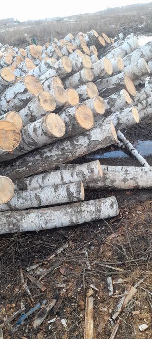 Продам кругляк береза