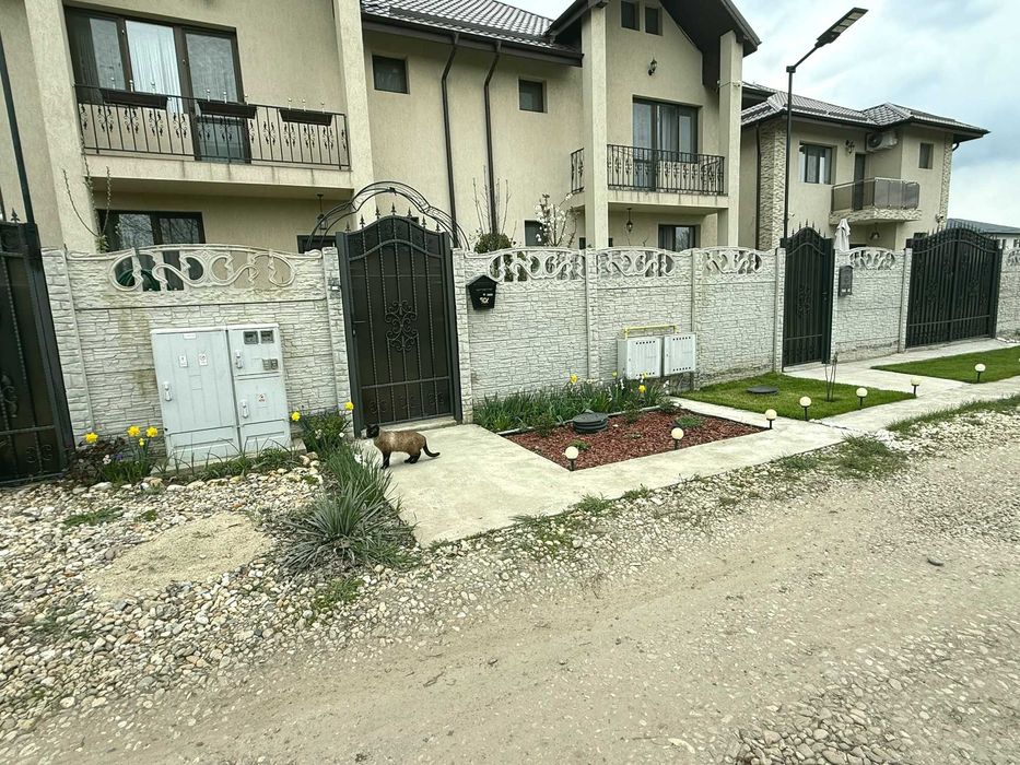 Renovare Apartamente/Case Finisaje Meseriasi Buc.Ilfov preturi ieftine