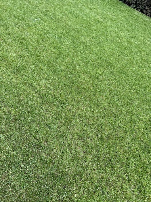 Газон Автополив под ключ