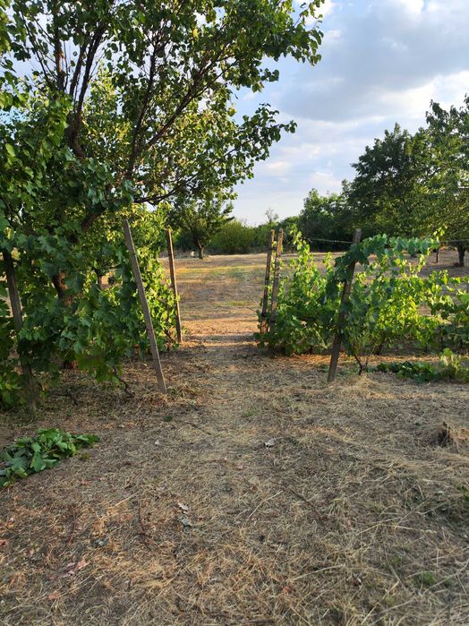 Продава се къща в с.Ветрен