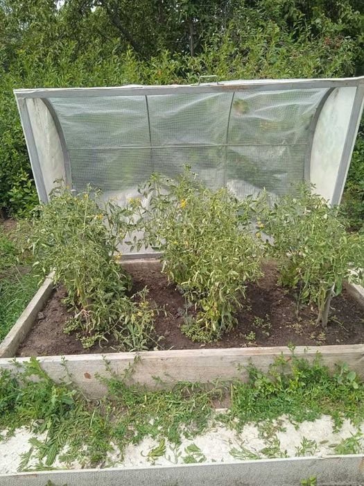 Продам дачу в СО "Геолог"