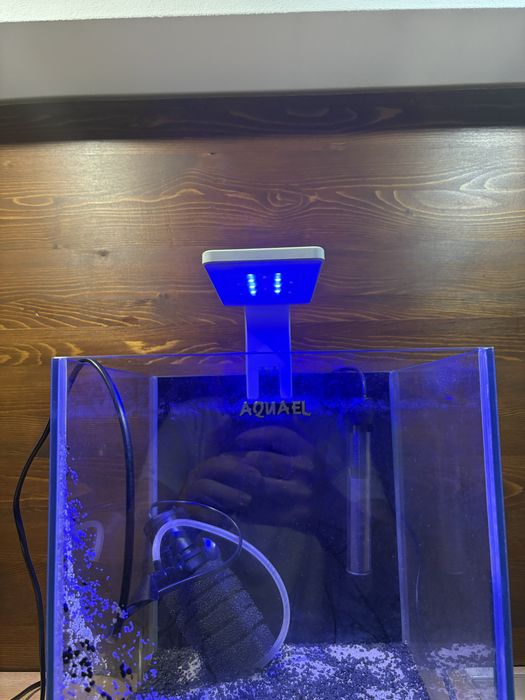 Acvariu echipat
