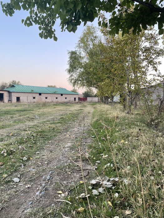 Ферма 1000 м2 с Домом
