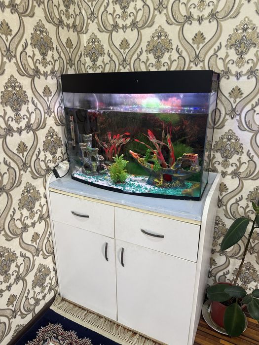 Аквариум 120л + подставка