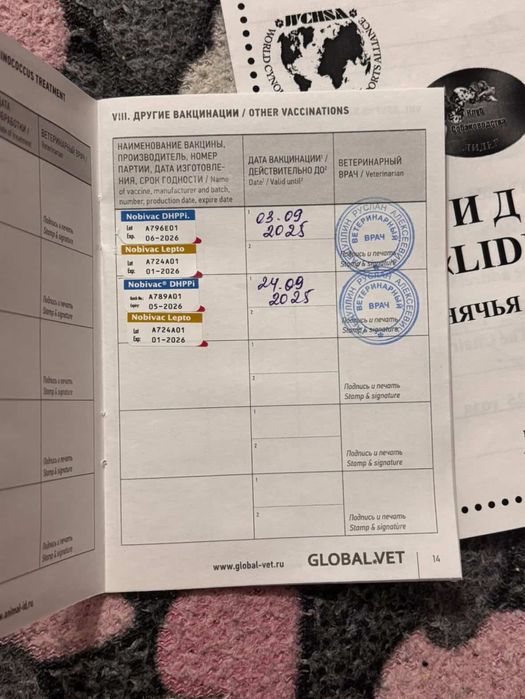 СРОЧНО в добрые руки