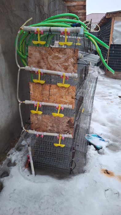 Продам перепилиные клетки