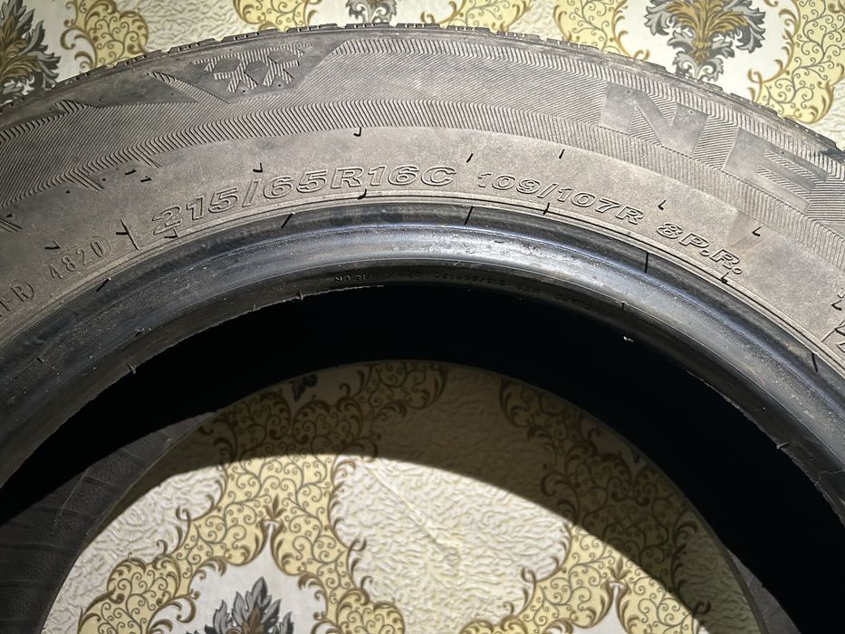 Ризина всесезонка