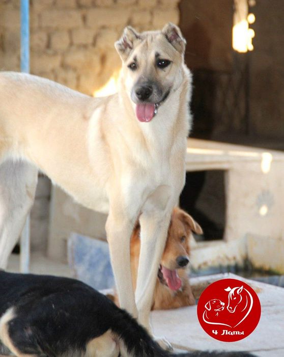 Мамочка, ты где, я жду тебя