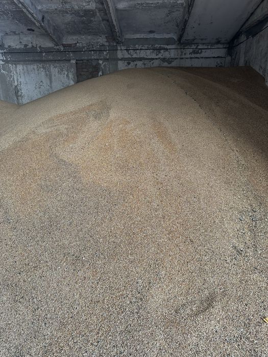 Продам зерновые отходы.