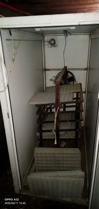 Инкубатор для яиц