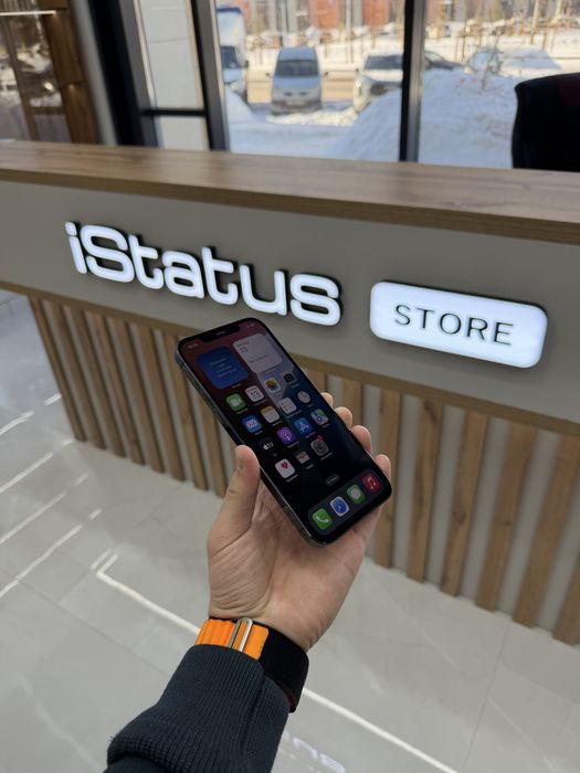 iPhone 12 Pro Max 256 gb | iStatus