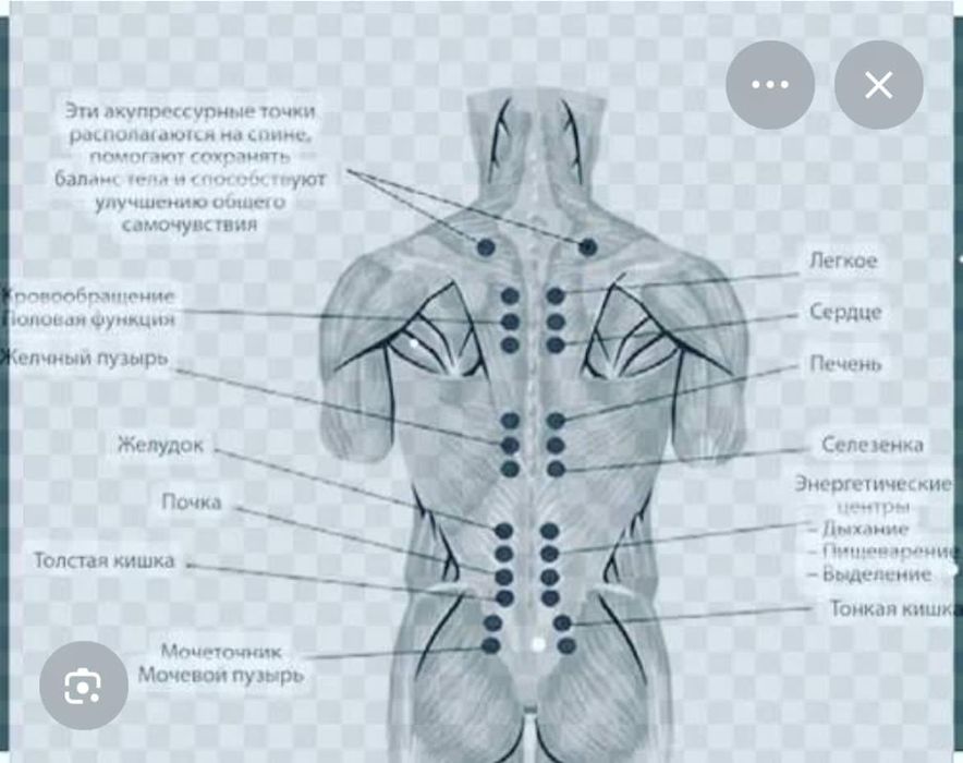 Принимаю у себя и на выезд!
