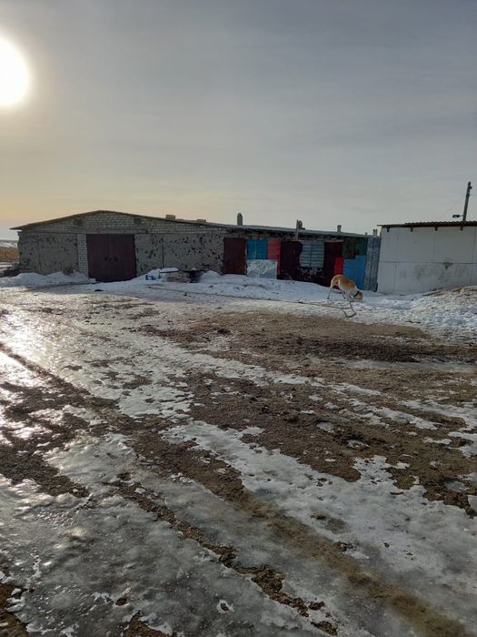 Продам крестьянское хозяйство