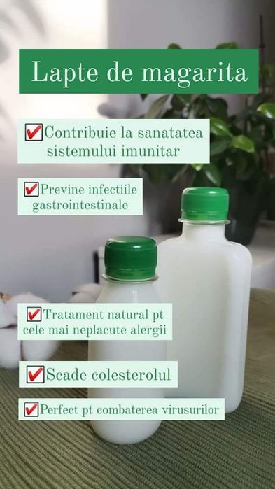 Lapte proaspat de magarita!