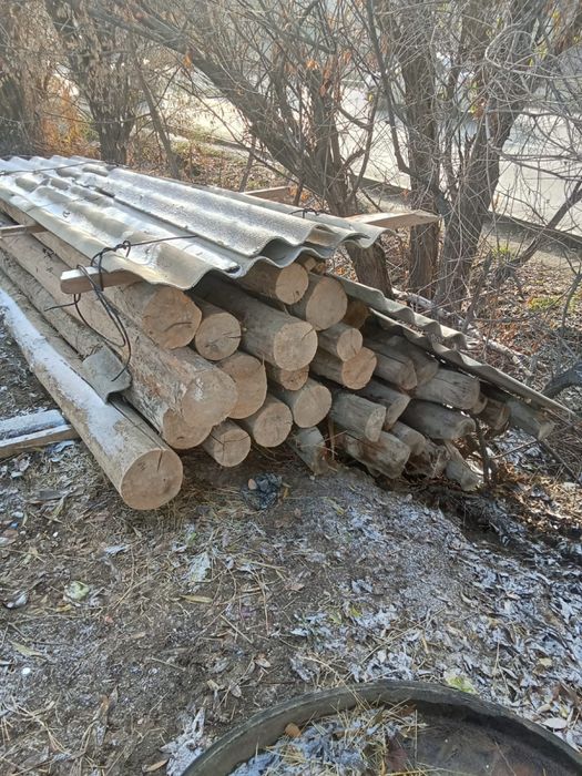 кругляк и страфила