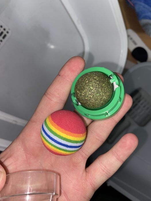 Базовый набор для кота