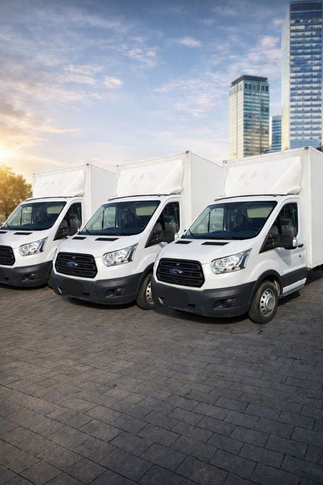 Colaborări Transport Paleți – Firmă SRL, TVA, Manipulanți, Național și