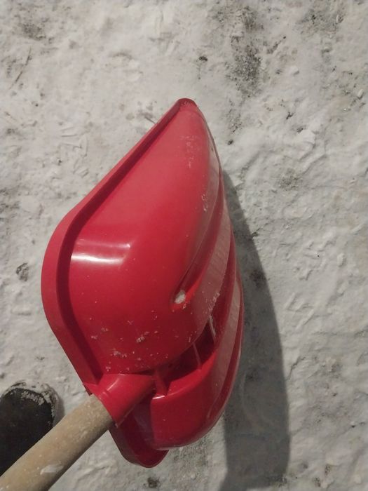 Лопата  морозостойки