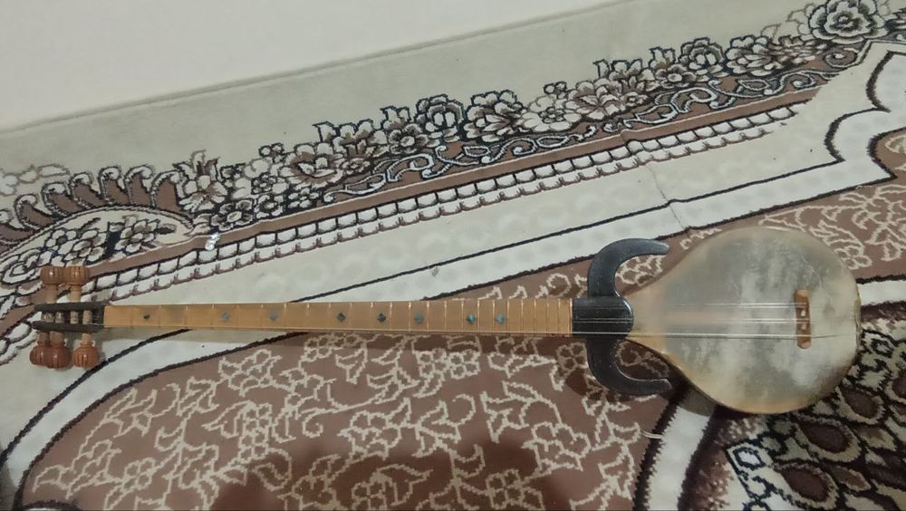 Rubob sotiladii arzon narxda