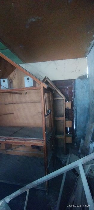 Quwlar uchun uy arzon bervoriladi