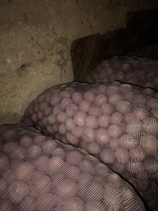 Семейной картофель Коломбо