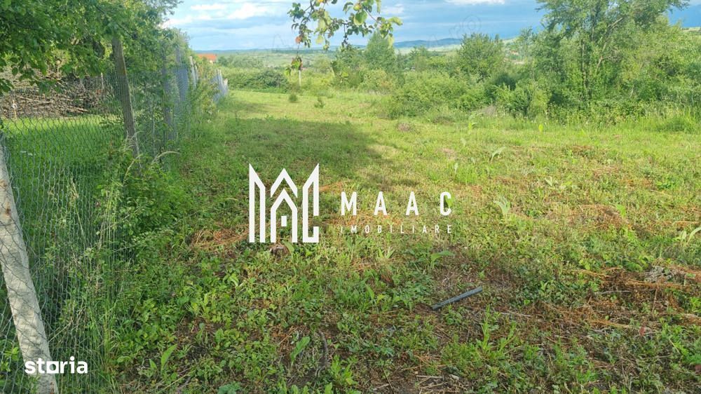 Teren intravilan de vânzare Daia Nouă | 1000 mp | Ideal pentru constru
