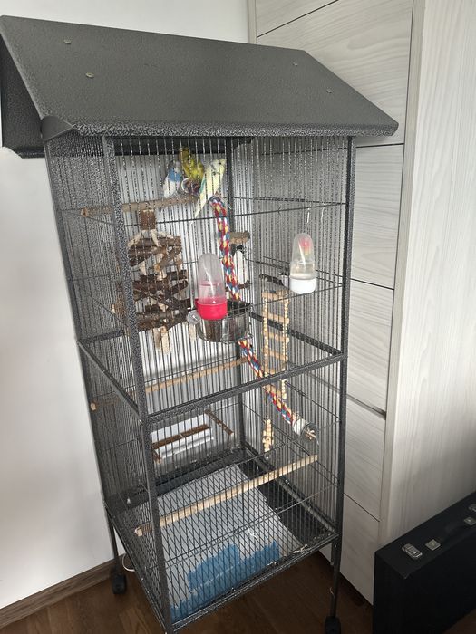 Perusi, cusca si accesorii.