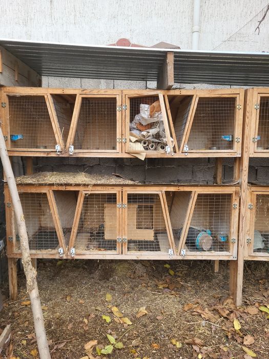 Клетки для кроликов