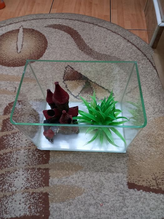 Vând acvariu și accesorii. O planta și un castel.