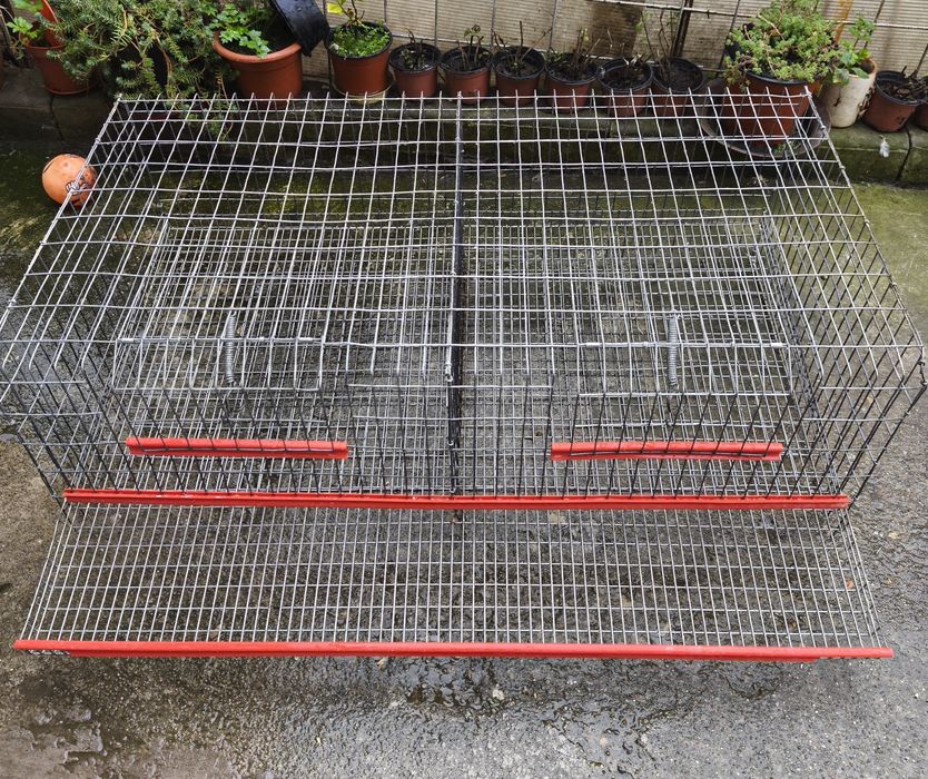 Vând prepelite ouătoare