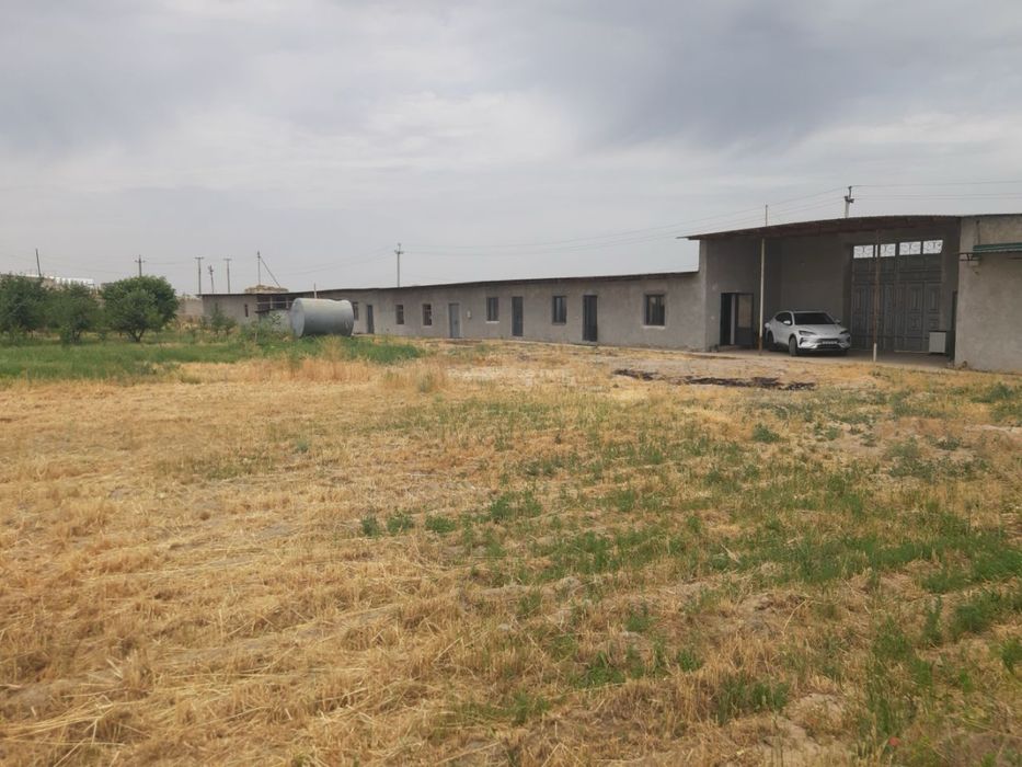 Ер сотилади (тайер бинолари хам мавжуд) 1 гектар