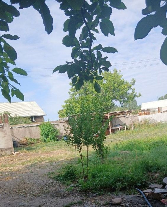У́ртасаройда уй жой куриш учун ер сотилади. Продаётся земля