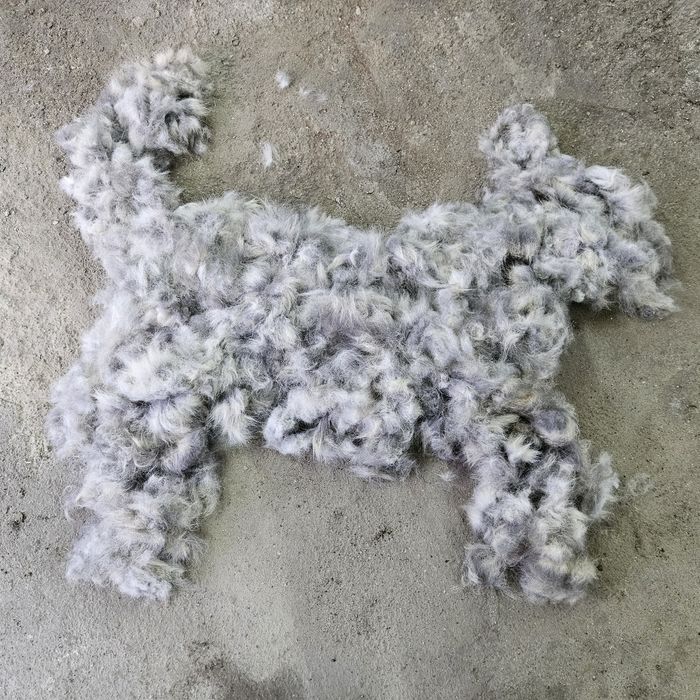 Продам собачий пух