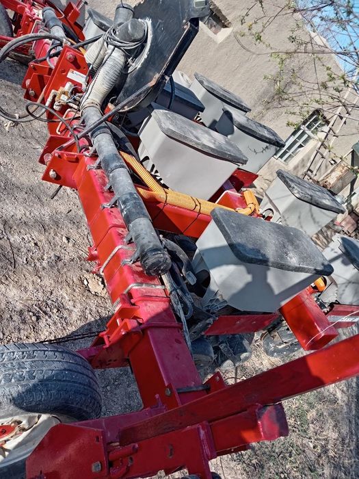 Taktoga pulg Chizil selkasi ham bor