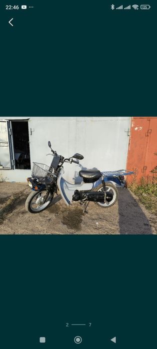 Suzuki birdie 49
