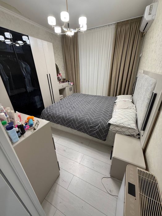 Продается массив куйлюк 5