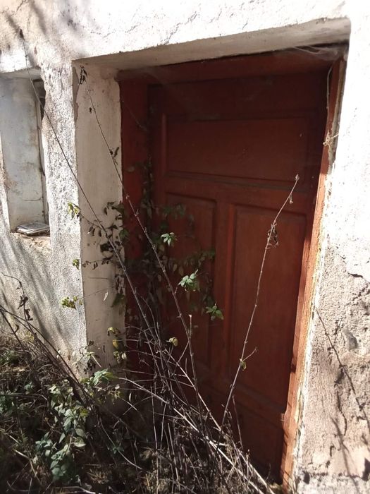 Къща с дворно място и лятна кухня