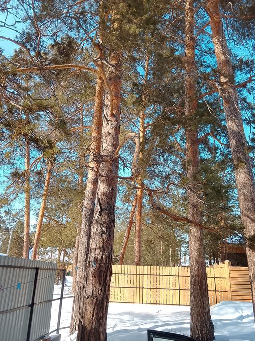 Продам УЧАСТОК  на Красном кардоне